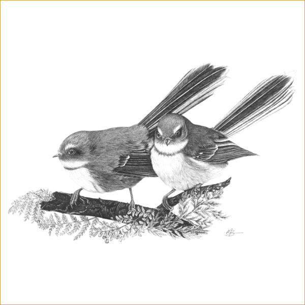 Fantail in the Ferns Thumbnail