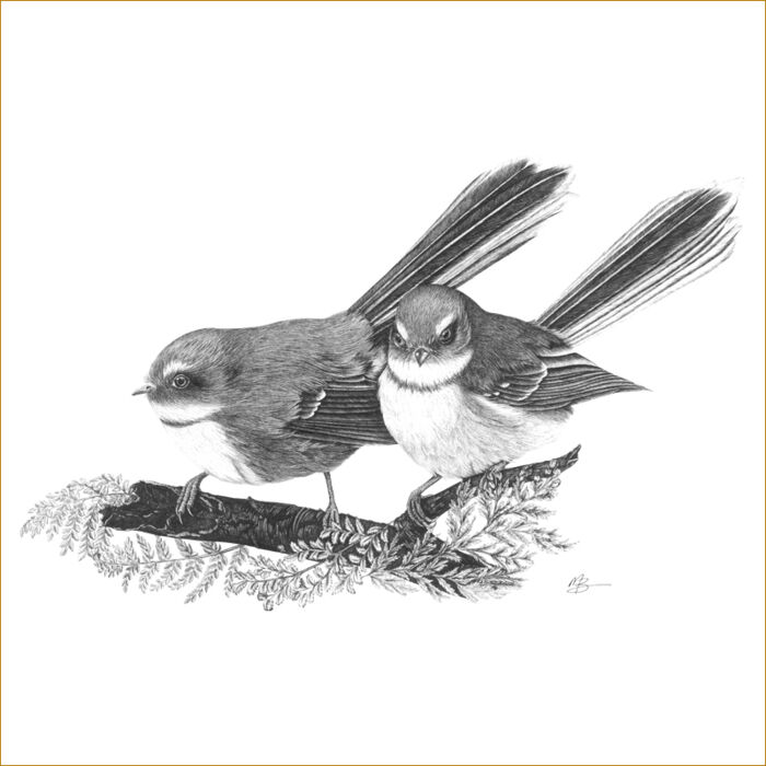 Fantail in the Ferns Thumbnail