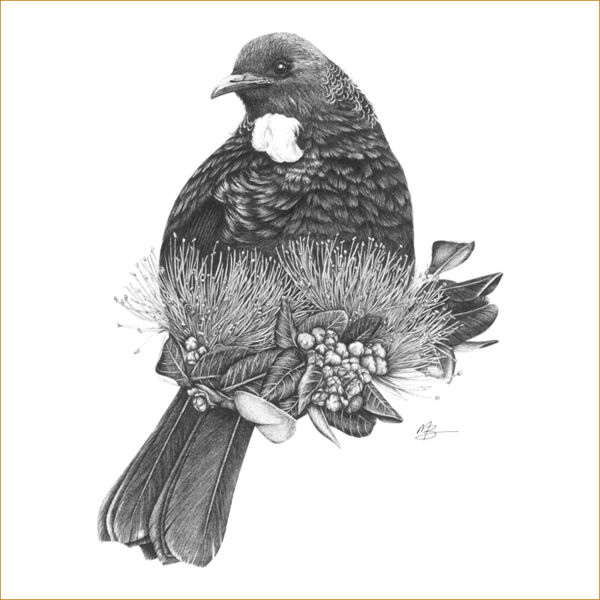 Majestic Tui Thumbnail