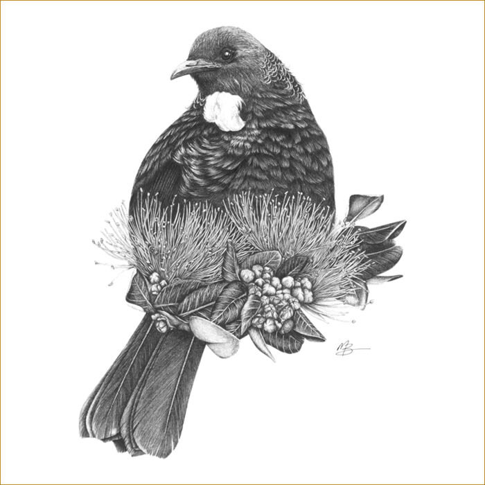 Majestic Tui Thumbnail