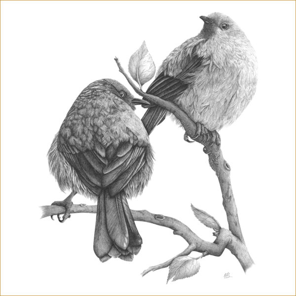 Twin Bells Thumbnail