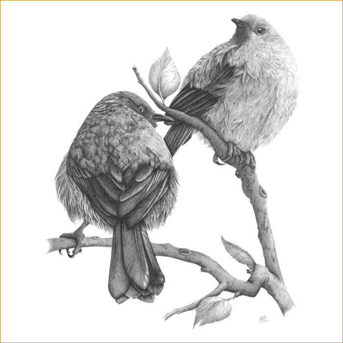 Twin Bells Thumbnail