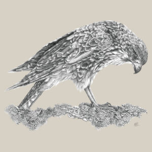 Call Of The Kārearea - AS Colour Kids Supply Hoodie Design