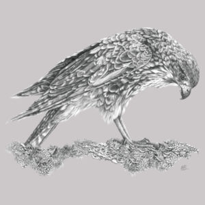 Call Of The Kārearea - AS Colour Mens Supply Hood Design