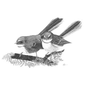 Fantail in the Ferns - AS Colour Womens Maple Tee Design