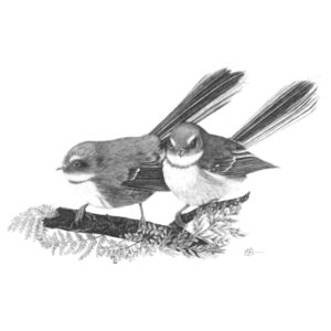 Fantail in the Ferns - AS Colour Womens Mali Tee Design