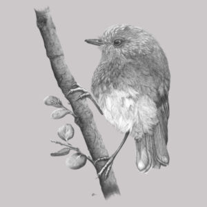 Friendly Toutouwai/NZ Robin  - AS Colour Womens Premium Hood Design