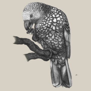 Kaka On A Perch - AS Colour Kids Supply Hoodie Design