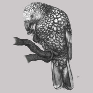 Kaka On A Perch - AS Colour Womens Premium Hood Design
