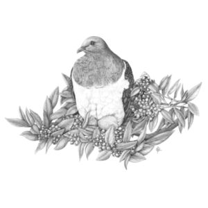 Kereru of Kapiti - AS Colour Kids Youth T shirt Design