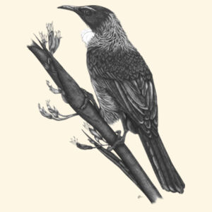 One Tui - AS Colour Carrie Tote Bag  Design