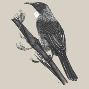 One Tui - AS Colour Kids Supply Hoodie Design