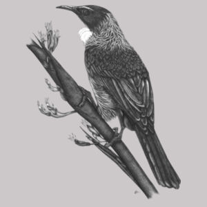 One Tui - AS Colour Mens Supply Hood Design