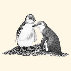 Penguins on the Rocks - AS Colour Carrie Tote Bag  Design