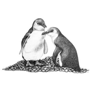 Penguins on the Rocks - AS Colour Kids Youth T shirt Design