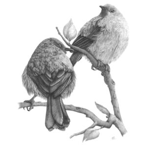 Twin Bells - AS Colour Kids Youth T shirt Design