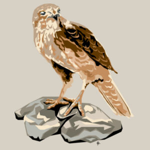 Contemporary Falcon - AS Colour Kids Supply Hoodie Design