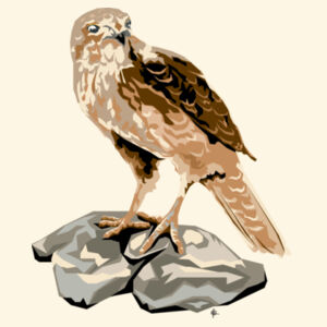 Contemporary Falcon - AS Colour Carrie Tote Bag  Design