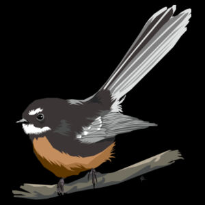 Contemporary Fantail - AS Colour Womens Premium Hood Design