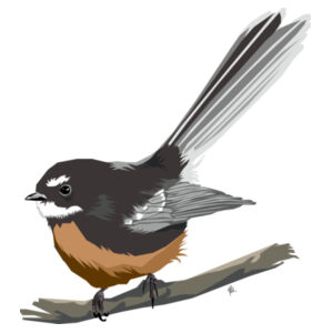 Contemporary Fantail - AS Colour Womens Mali Tee Design