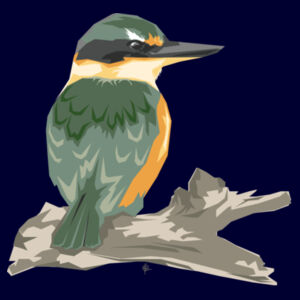 Contemporary Kingfisher - AS Colour Mens Supply Hood Design