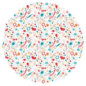 Rock Pool - AS Colour Womens Mali Tee Design